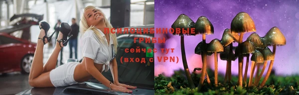 гашик Алексин