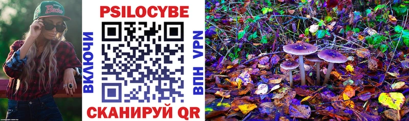 Псилоцибиновые грибы мицелий  Кировград 