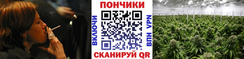 где продают наркотики  Кировград  Марихуана MAZAR 